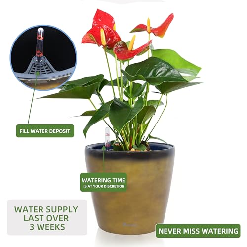 Dexceder 9x8 Self Watering Planter (Yellow Brown Gradient) - color: Yellow Brown, size: 9x8