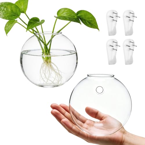 8PCS Wall Mounted Vase, Glass Wall Vase Propagation Wallmount Hanging Planters for Hydroponics with Traceless Nails for Home Office Living Room