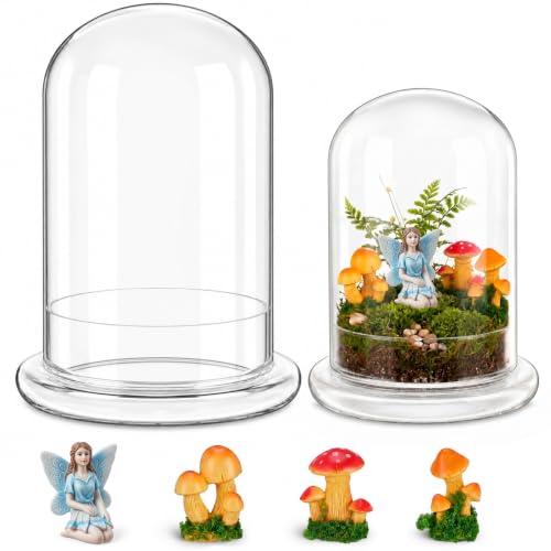 Hushee 5 Pack Decorative 1 Glass Cloche Dome 6.3'' x 4.7'' - No Plants - size: 6.3'' X 4.7''