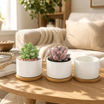 ZOUTOG 8 Pack 3.6" Ceramic Succulent Pots,White Planter with Drainage Tray - size: 8 pack