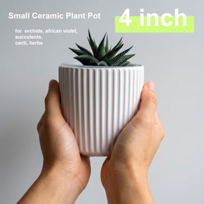 Small Ceramic self Watering Pot for Succulents, 4 inch, White,2pack - color: White, size: 4 inch