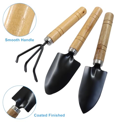 3 Pcs Mini Garden Tools Set, Iron Kit Including Small Trowel, Mini Shovel & Hand Rake for Succulent/Bonsai & Pot Plants - style: 3 Pcs