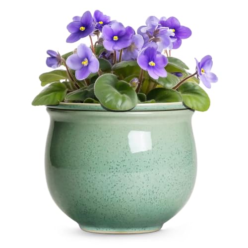 Ceramic Self Watering Planter, 8 Inch African Violet Pots, Green - color: Green, size: 8 Inch