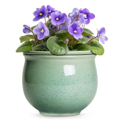 Ceramic Self Watering Planter, 8 Inch African Violet Pots, Green - color: Green, size: 8 Inch