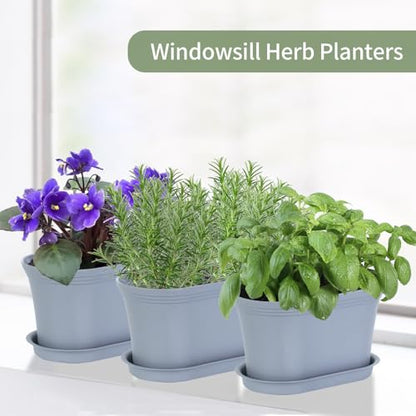 Oliz 6pk Windowsill Planters, Grey Plastic w/Drain Tray - Indoor/Outdoor - color: Gray