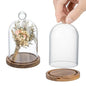 MyGift Mini Clear Glass Bell Display Cloches with Premium Acacia Solid Wood Base, Decorative Dome Cover Stands for Small Heirloom Jewelry Curios Keepsakes, Set of 2