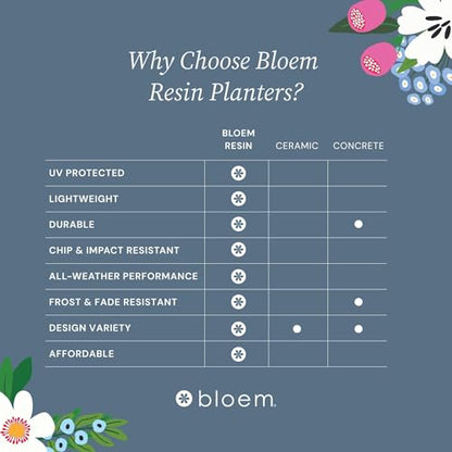 Bloem Ariana 6" Plastic Self-Watering Planter, Charcoal, 4-Pack - color: Charcoal, size: 6" (Pack of 4)
