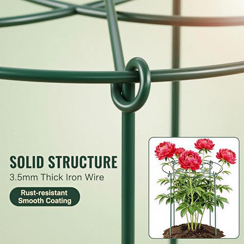 4 Packs Peony Cages and Supports, 11.8"x16" Metal Plant Supports