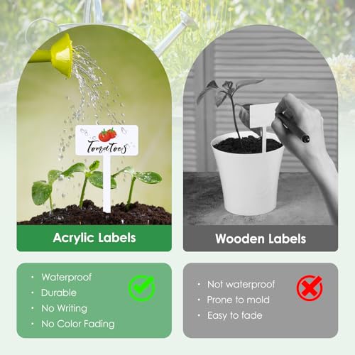 30 Pcs Acrylic Vegetable Labels Signs Waterproof Plant Marker