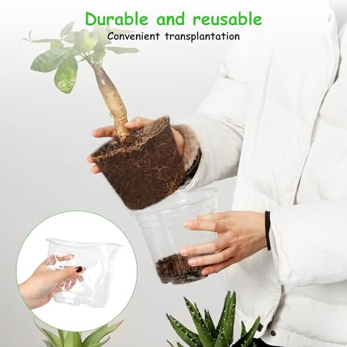 JNYONG 60 Pack 6 Inch Clear Nursery Pots with Drainage Hole - size: 6 Inch