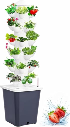 Plants Propagation Station