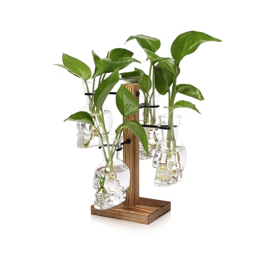 Plants Propagation Stations Skull Glass Propagation Birthday Gift for Women - color: Transparent
