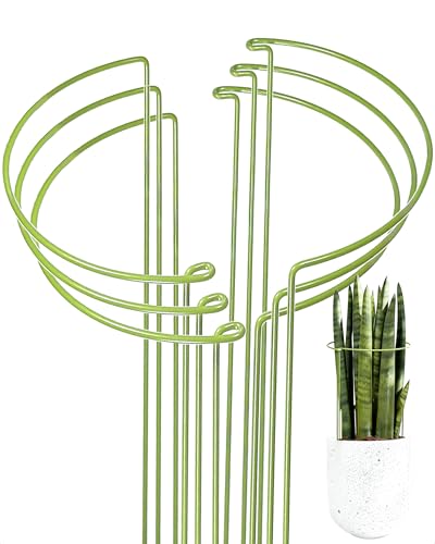 6-Pack Plant Support Stakes, Steel Stakes for Indoor Plants, Monstera & Peony Support, Tall Plant Sticks for Snake Plant, Climbing Vines, Metal Garden Stakes (10" W x 15.8" H) - size: 10"x15.8", 6-Pack