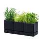 D'vine Dev 3-Pack Plastic Herb Planter Pots, 4 in, Black, 76-Y-B3-1 - color: Black, size: 12 Inch x 4.5 Inch
