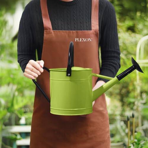 Plexon Metal Watering Can Outdoor 1 Gallon, Flower Plant Gardening Garden Large Green Watering Can Pot, Galvanized Steel Handles - Removable Spray Spout, Green - color: Green