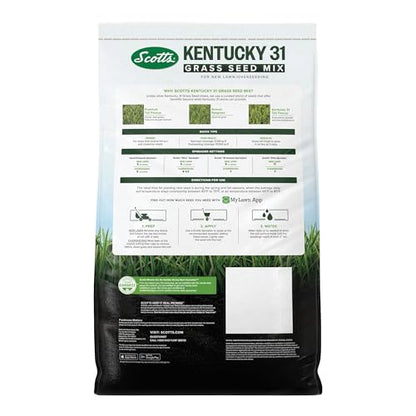 Scotts Kentucky 31 Grass Seed Mix, 40 lbs. - size: 40 lb