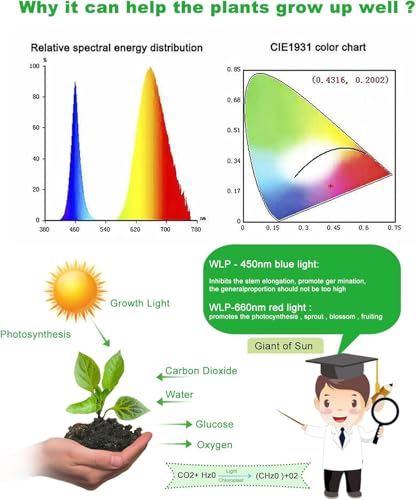 10Ft LED Grow Strip Lights Full Spectrum 120 LED with Timer for Indoor