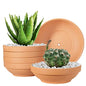 Laerjin Terracotta Pots, 6.43 Inch Shallow Pots with Drainage Hole, 6 Pack - size: 6.43 inch