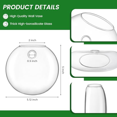 DomeStar Set of 6 Wall Vases, Wall Mounted Propagation Station - size: 6pcs