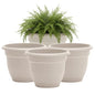Bloem Ariana 10" Plastic Self-Watering Planter, Vanilla Bean, 4-Pack - color: Vanilla Bean, size: 10" (Pack of 4)