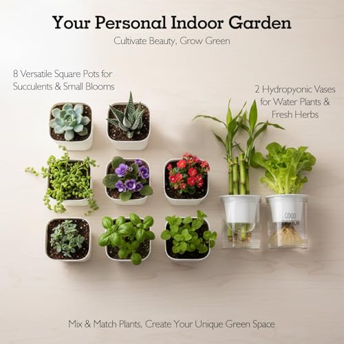 Soliseed Indoor Herb Garden Kit, Transparent Pots with Gardening Tools