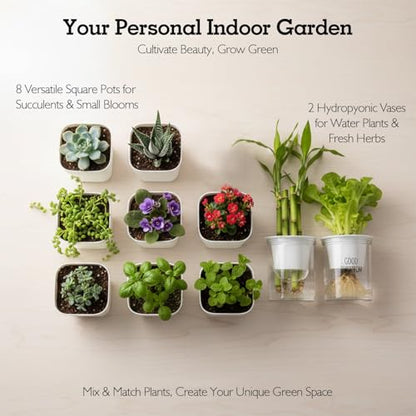 Soliseed Indoor Herb Garden Kit, Transparent Pots with Gardening Tools