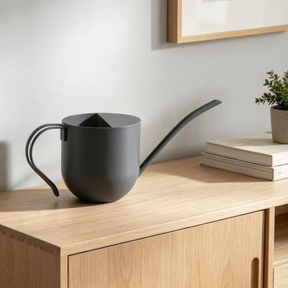 Gray Watering Can 30oz Stainless Steel for Indoor Plants - color: Gray 30oz