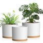 10/9/8 Inch Plant Pots 3 Pack, with Drainage Hole & Saucers - color: Matte White&brown