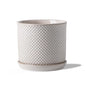 5.8 Inch Ceramic Planter with Drainage Hole & Bonded Saucer - color: Beaded Embossed, size: 6 inch