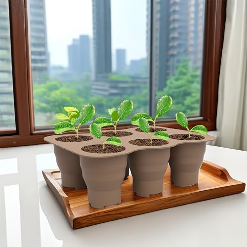 Seed Starter Trays, 2 Pack 6 Cells Seed Starter Kit, Silicone Plant Germination Trays Gardening Starter Kit, Reusable Seed Starter Tray for Plant Germination, Seeds Growing - color: 2 Pack 6 Cells