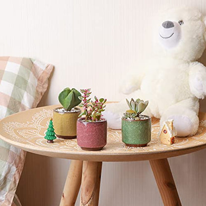 T4U Mini Succulent Pots, Small Ceramic Planters, Retro Gift Set of 12 - size: 2.4"*2.4"