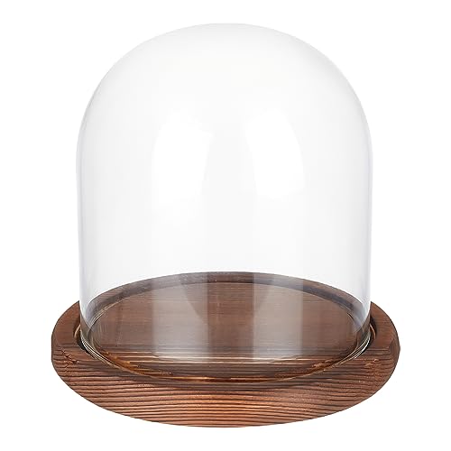 BENECREAT 5.5x5inch Eternal Transparent Flower Glass Cover, Cloche Dome Micro Landscape with Solid Wood Base for DIY Flower Craft, Wedding Decorations - color: Burly Wood, size: 5.5x5inch