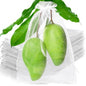 50 Pcs Fruit Protection Bags, 10×14 in Mesh Cover Nets for Tree, White - color: White, size: 10×14 in