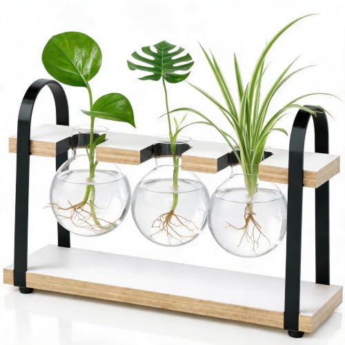 3-Bulb Plant Propagation Station, Glass Vase Terrarium, Retro White - color: White