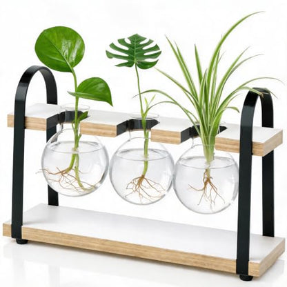 3-Bulb Plant Propagation Station, Glass Vase Terrarium, Retro White - color: White