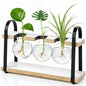 3-Bulb Plant Propagation Station, Glass Vase Terrarium, Retro White - color: White