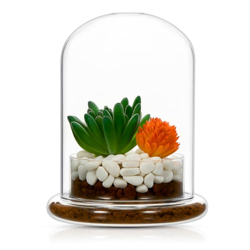 1 Pcs 4.7 x 6.3 Inch Glass Terrarium Clear Terrarium Planter Container Glass Dome Cloche with Airhole and Base for Plant Flower Home Tabletop Display Centerpiece, Plants Not Included - size: 4.7 x 6.3 Inch