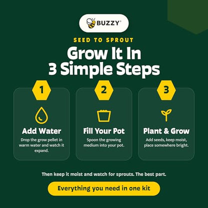 Buzzy Seeds Kitchen Herb Kit 2-Pot with Tray, Metal Planters, Basil Chives