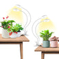 Wiaxulay Plant Grow Light Indoor Growing, 3.5in Clip Full Spectrum 2 Pack - size: 2 Pack