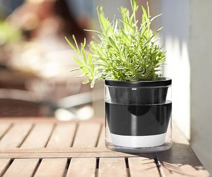 D'vine Dev Self-Watering Black Terracotta Planter, 4 in, 4-Pack, 37-Z-A-3-F - color: Black