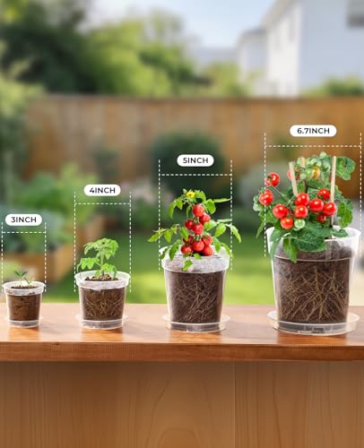 homenote 5 Inch Clear Nursery Pots 30 Pack with Drainage Holes and Saucers - size: 5 INCH