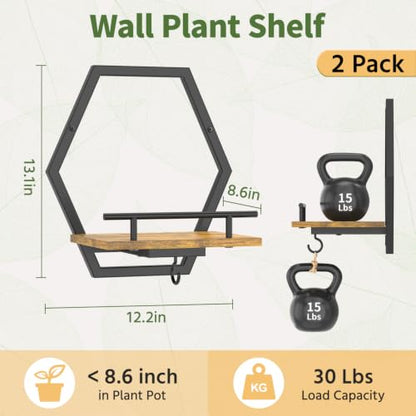 LASZOLA Plant Picture Frame Holder Shelf Wall Window Indoor, 2 Pcs Brown - color: Obsidian Black+Brown, size: 2