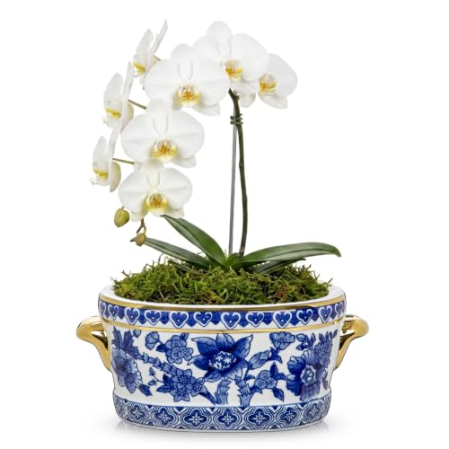 Blue and White Ceramic Planter Pot – Vintage Floral Oval Cachepot Vase for Indoor Plants, Flowers & Succulents – Glazed Porcelain Style Chinoiserie Décor – 7.4" No Drainage - size: 7.4" Gold Textured