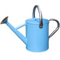 Metal Watering Can, 1 Gallon for Outdoor Garden Plants, Blue - color: Blue With Stainless Steel Handle