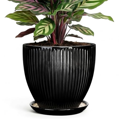 6 Inch Ceramic Planter, Indoor Plant Pots with Saucer, Black - color: Black, size: 6 Inch