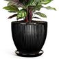 6 Inch Ceramic Planter, Indoor Plant Pots with Saucer, Black - color: Black, size: 6 Inch