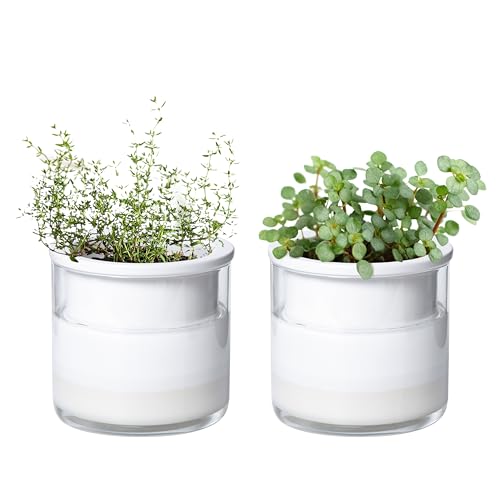 Phoenix Vine 4 Inch Self Watering Planter Pot, Design White Terracotta Pots for Plants, Indoor Cylinder Terra Cotta Pots with Glass Vase, Set of 2, 51-B-E-2 - color: White, size: 4" (2 Pack)