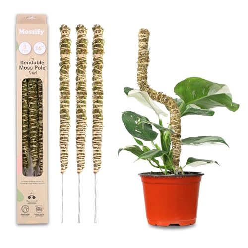 Mossify Bendable Moss Pole, 3 Pack, Assorted 16/30/42'', Forest Moss