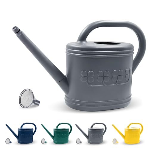 1 Gallon Watering Can, Plant Watering Can with Stainless Steel Shower Head - color: Gray, size: 1 Gallon