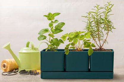 D'vine Dev 2-Pack Plastic Herb Garden Planter Set, Green, 76-V-C-2 - color: Green, size: 24"